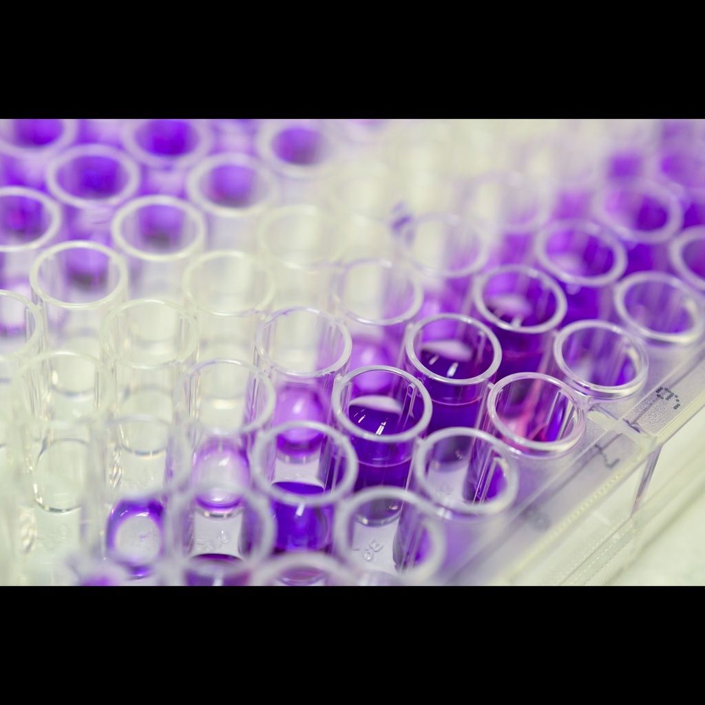 VA Vitamin A  ELISA Kit size: 96 Test