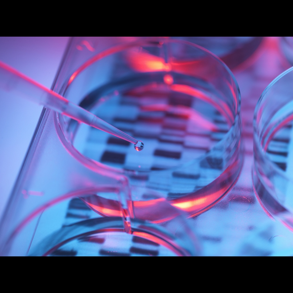 GoldBand DL2，000 DNA Marker-10×100T