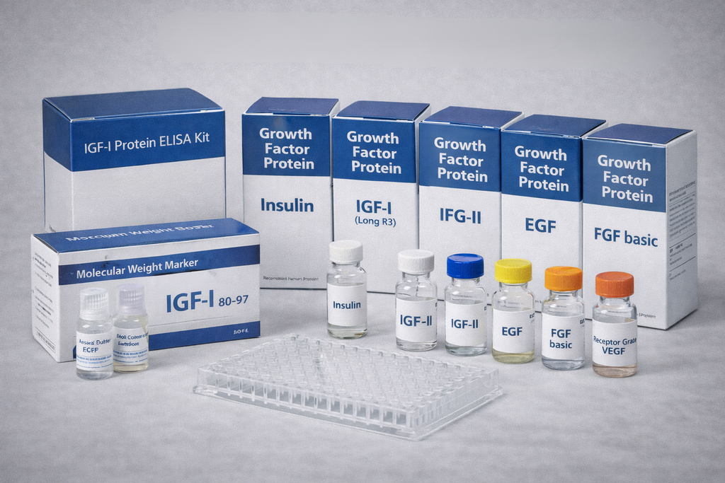 Biotinyl Human IGF-I