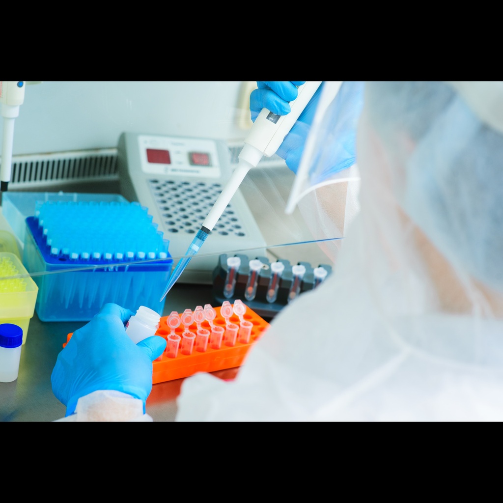 HumPCR™Acanthamoeba Detection Kit size: 96 Determinations
